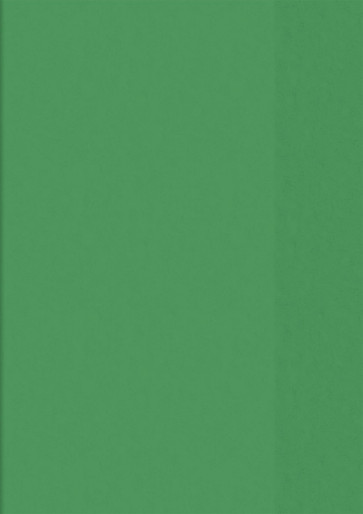 BRUNNEN Heftumschlag Plastik A5 grün ohne Schild (Heftschoner)