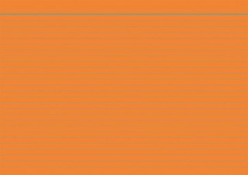 RNK Karteikarten DIN A6 orange liniert 100St. 