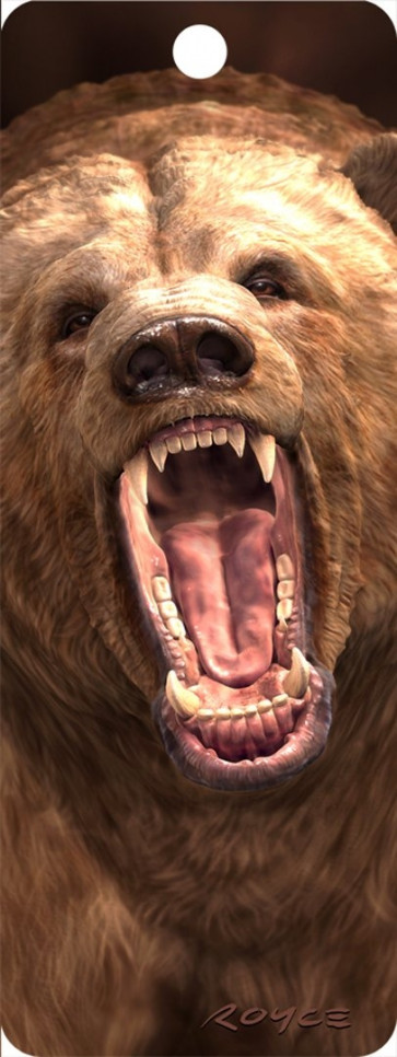 3D Lesezeichen Grizzly Bär || Artgame