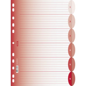 Ringbuchregister DIN A4 6teilig rot