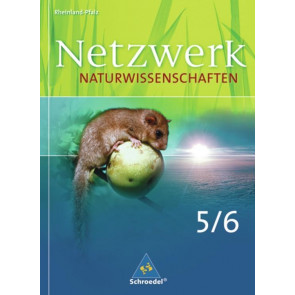 Netzwerk Naturwissenschaften 5/6 SB GY RHP (Ausg. 09)