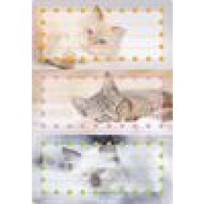 Herma Heftschild-Etiketten Katzen