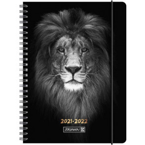 Brunnen Schülerkalender Wochenkalender 20212022 A5 Lion von vorne