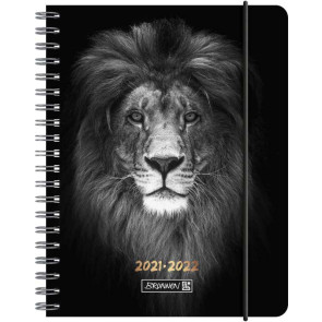 Brunnen Schülerkalender Wochenkalender 20212022 A6 Lion von vorne