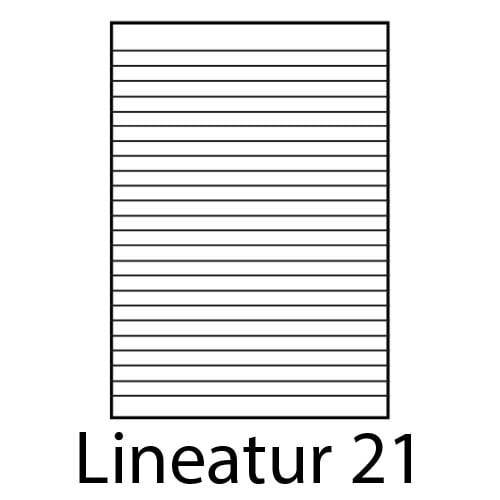 Schulhefte Lineatur 21 liniert