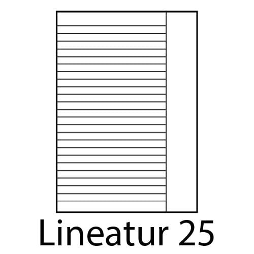 Lineatur 25 liniert